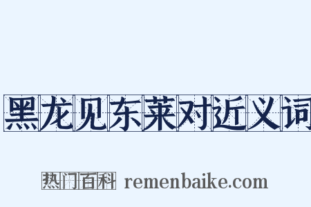 黑龙见东莱对近义词是什么意思的图片
